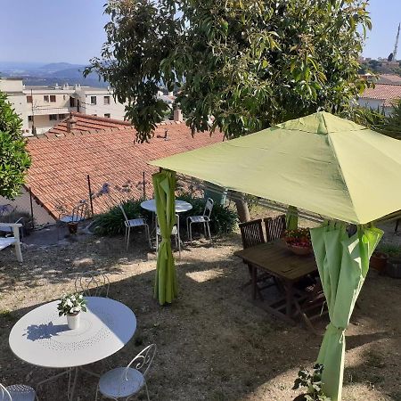 Les Palmiers Bed & Breakfast กราส ภายนอก รูปภาพ
